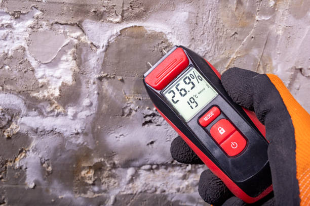 Best Mold Testing and Removal  in Ozark, AL