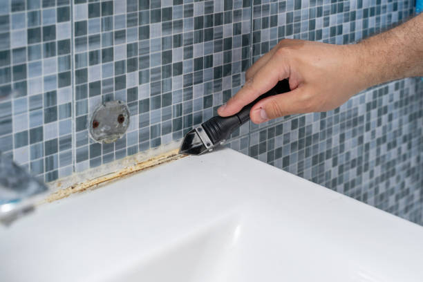 Mold Removal Process in Ozark, AL