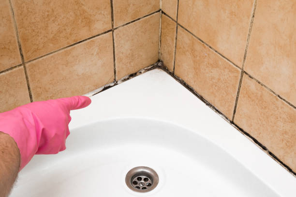 Best Mold Damage Repair  in Ozark, AL